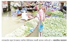 খালের বুকে ভাসমান সবজির হাট  