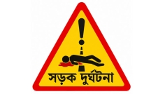 চুয়াডাঙ্গায় মাইক্রোবাসের ধাক্কায় বৃদ্ধার মৃত্যু