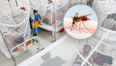 ডেঙ্গুতে একদিনে ২ জনের প্রাণহানি, হাসপাতালে ভর্তি ১২৩২