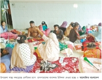ভাণ্ডারিয়ায় ডেঙ্গুর প্রকোপ বৃদ্ধি  