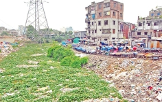 নদীদূষণ 