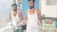 চাঁদপুরে আড়াই মণ আলুর দামে এক কেজি ইলিশ
