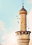 নবী ইউসুফ (আ.)-এর গল্প  