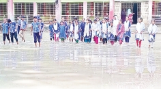 জলাবদ্ধতা 