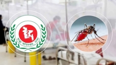 ২৪ ঘণ্টায় ডেঙ্গুতে ৮ জনের মৃত্যু, হাসপাতালে ১৭৮২