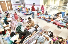 ডেঙ্গু রোগী 