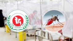 ২৪ ঘণ্টায় ডেঙ্গুতে ৩ জনের মৃত্যু