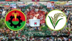 স্থানীয় সরকার নির্বাচনে একক প্রার্থী বাছাইয়ে বিএনপির নতুন ছক