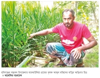 তাক লাগালেন আব্দুল মজিদ  