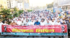 বিক্ষোভ মিছিল  