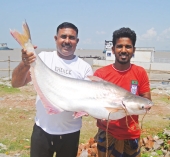 গোয়ালন্দে পদ্মার এক পাঙ্গাশ ২৮,৮০০ টাকায় বিক্রি  