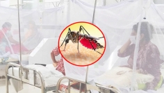 ২৪ ঘণ্টায় ডেঙ্গুতে ৬ জনের মৃত্যু, হাসপাতালে ২১৫৮