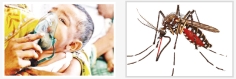 ২৪ ঘণ্টায় আরও ১৫ মৃত্যু  