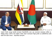 জ্বালানি সংকট নিয়ে ব্রুনাই হাইকমিশনারের সঙ্গে জামায়াত আমিরের বৈঠক 