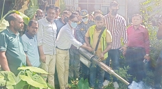 ডেঙ্গু প্রতিরোধে বিশেষ গুরুত্ব দিয়ে কাজ করছে চসিক  