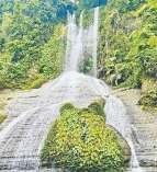 রোমাঞ্চকর নাপিত্তাছড়া ট্রেইল 