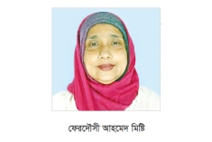 পদত্যাগ করলেন এমপি মিষ্টি  