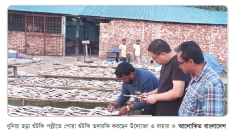 বিশ্ববাজারে কক্সবাজারের 'পোয়া শুঁটকি'  