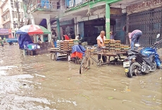 জলাবদ্ধতা  