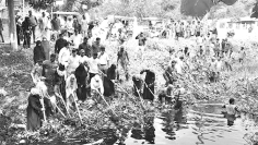 ডেঙ্গু প্রতিরোধে পরিষ্কার-পরিচ্ছন্নতা জরুরি  
