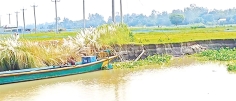 যমুনার ভাঙনে ঝুঁকিতে বিদ্যুৎ উপকেন্দ্রসহ সঞ্চালন লাইন  