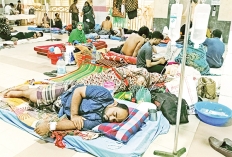 ডেঙ্গু রোগী  