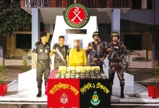 ৩ লাখ ৯০ হাজার ইয়াবাসহ আটক এক  