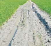 ২ কি.মি. রাস্তা পাকা না করায় জনদুর্ভোগে এলাকাবাসী  