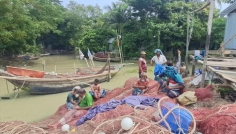 মা ইলিশ রক্ষায় চাঁদপুরের নদীতে ২২ দিনের নিষেধাজ্ঞা শুরু