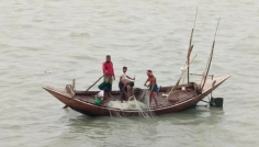 ভোলার মেঘনা-তেঁতুলিয়ায় ২২ দিনের মাছ ধরার নিষেধাজ্ঞা শুরু