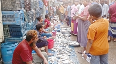 স্বল্প আয়ের লোকদের নাগালে নেই ইলিশের দাম  