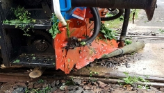 চুয়াডাঙ্গায় আকস্মিক ঝড়, রেললাইন থেকে গাছ অপসারণ