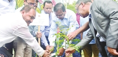 ১৫ অক্টোবর থেকে ন্যাশনাল ব্যাংকের গ্রাহকরা সব ব্যাংকিং সেবা পাবেন 