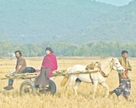 হইচই-তে 'প্রেশার কুকার' 