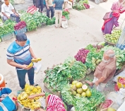 দিনাজপুরে শীতের আগাম  সবজি বাজারে, কমেছে দাম 