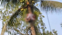 রায়গঞ্জে গাছ পরিষ্কার করতে গিয়ে প্রাণ গেল যুবকের