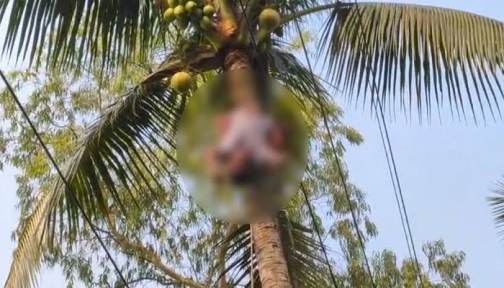 রায়গঞ্জে গাছ পরিষ্কার করতে গিয়ে প্রাণ গেল যুবকের