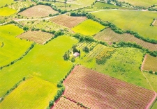 অব্যবহৃত জমি ও মালিকানার আইনি সীমানা  