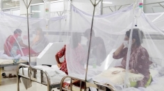 ডেঙ্গুতে প্রাণহানি ৩০০ ছাড়াল
