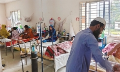 কাউখালীতে ডেঙ্গুর প্রকোপ বৃদ্ধি  