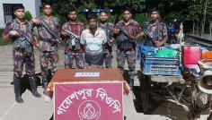 জীবননগর সীমান্তে ১ কোটি টাকার স্বর্ণের বারসহ আটক ১