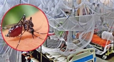 ডেঙ্গুতে শিশুসহ আরও ৪ মৃত্যু, শনাক্ত লাখ ছাড়াল