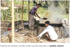 সিরাজগঞ্জে আখের ভালো ফলন কৃষকের মুখে হাসি  