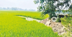 মহাসড়ক সম্প্রসারণের মাটি বিক্রির অভিযোগ  