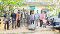 উখিয়ায় বক শিকারের অভিযোগে আটক ১, উদ্ধার ৯টি বক