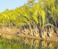 সুন্দরবন আমাদের গর্ব  