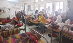 চাঁপাইনবাবগঞ্জে বাড়িতে বাড়িতে ডেঙ্গুর লার্ভা, আক্রান্ত ৪ হাজার ছাড়িয়েছে  