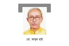 সাবেক উপমন্ত্রী আব্দুল হাই মারা গেছেন 