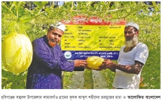 তরমুজ চাষে সফল কৃষক আব্দুস শহীদ  