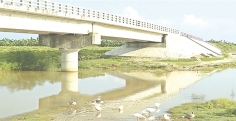 সাড়ে ৭ কোটি টাকার সেতুতে ফাটল, সংযোগ সড়ক নেই 